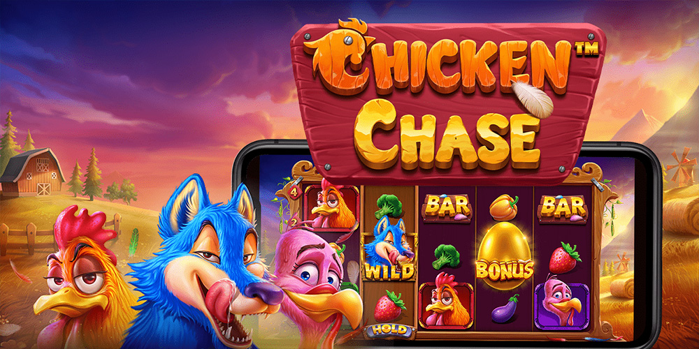 Info Chicken Chase